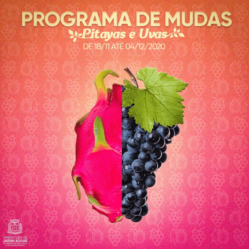 PROGRAMA DE MUDAS