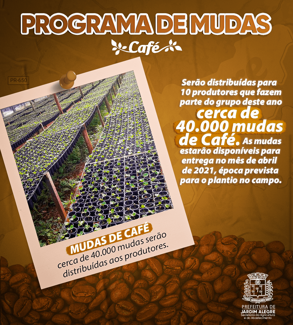 Programa de Mudas