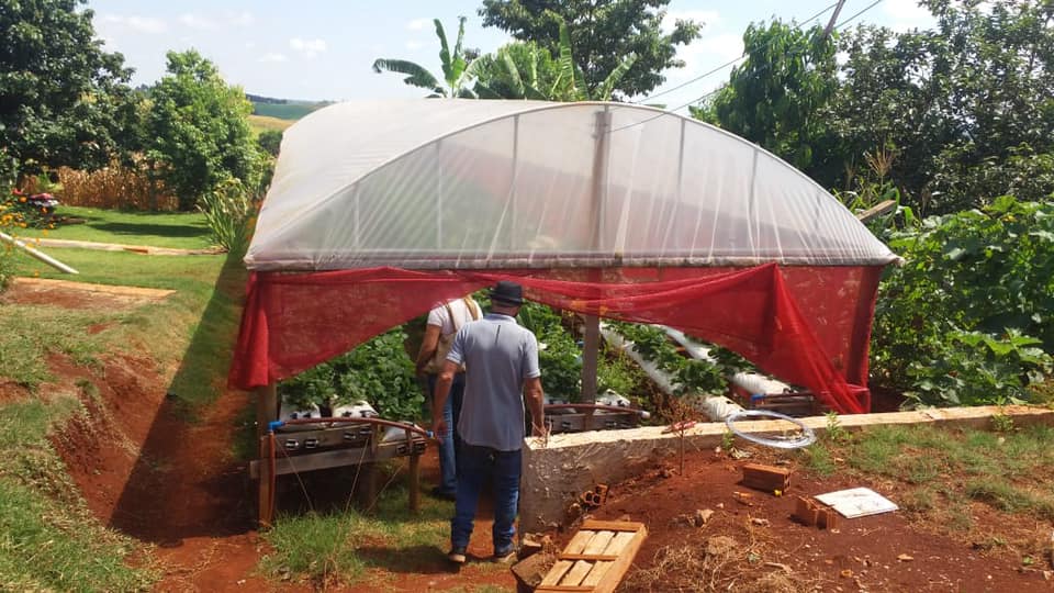 Visitas a primeira estufa de morango semi-hidropônicos no Município de Jardim Alegre