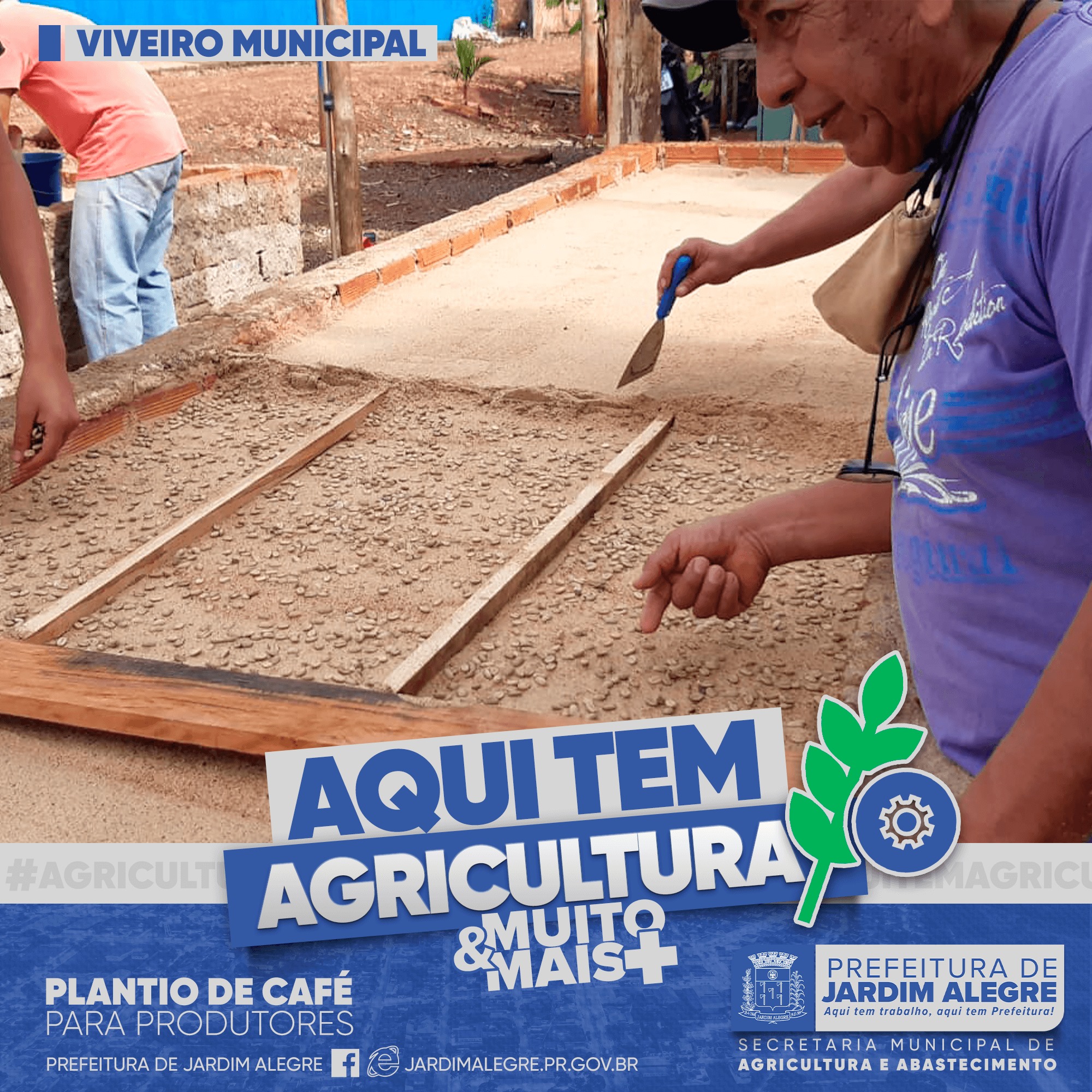 PLANTIO DE CAFÉ PARA PRODUTORES