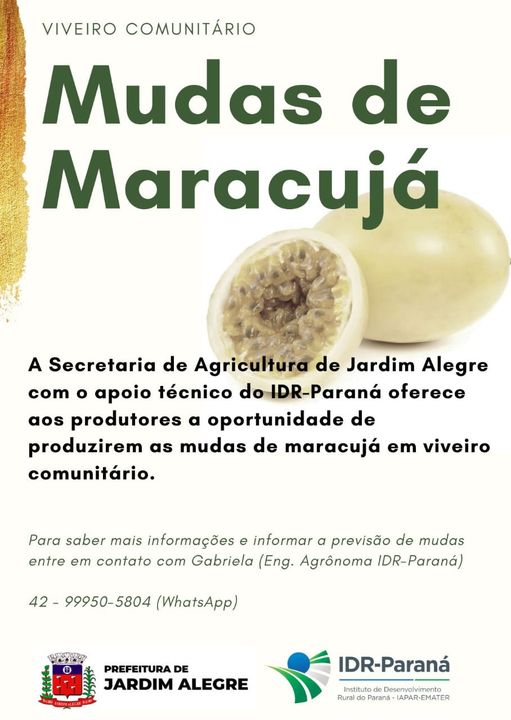VIVEIRO COMUNITÁRIO - MUDAS DE MARACUJÁ
