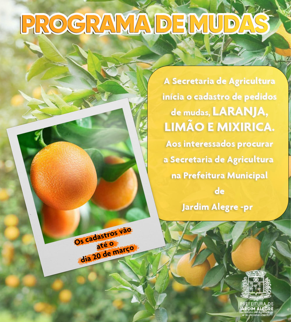 Programa de Mudas
