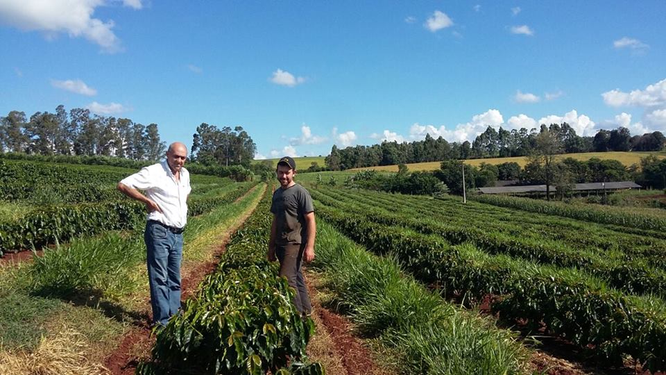 Agricultura - Bairro Colibri / São Jorge