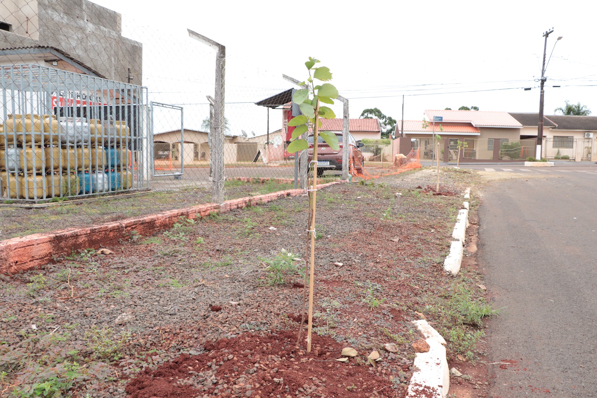 PLANO MUNICIPAL DE ARBORIZAÇÃO URBANA!