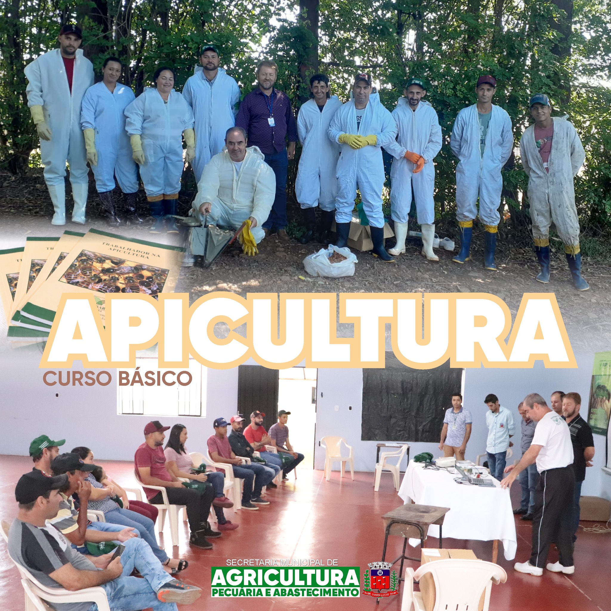 CURSO BÁSICO DE APICULTURA!
