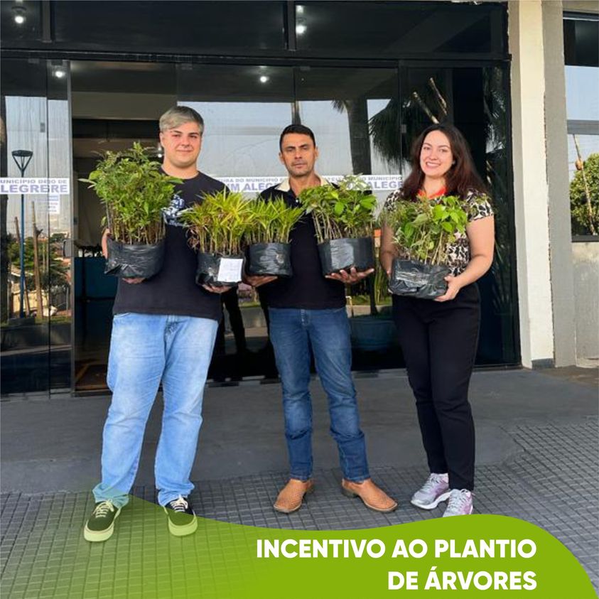INCENTIVO AO PLANTIO DE ÁRVORES