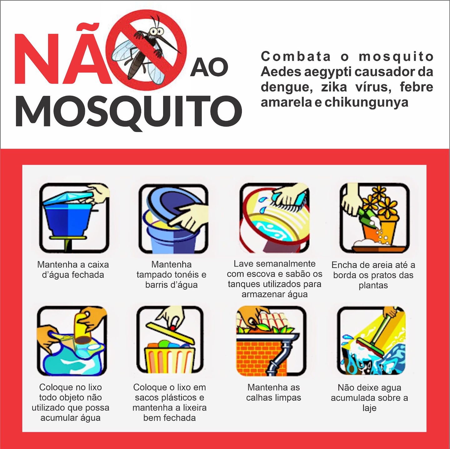 Combate ao mosquito transmissor. Juntos somos mais fortes!