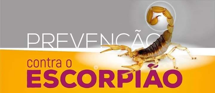 CONTROLE DE ESCORPIÕES