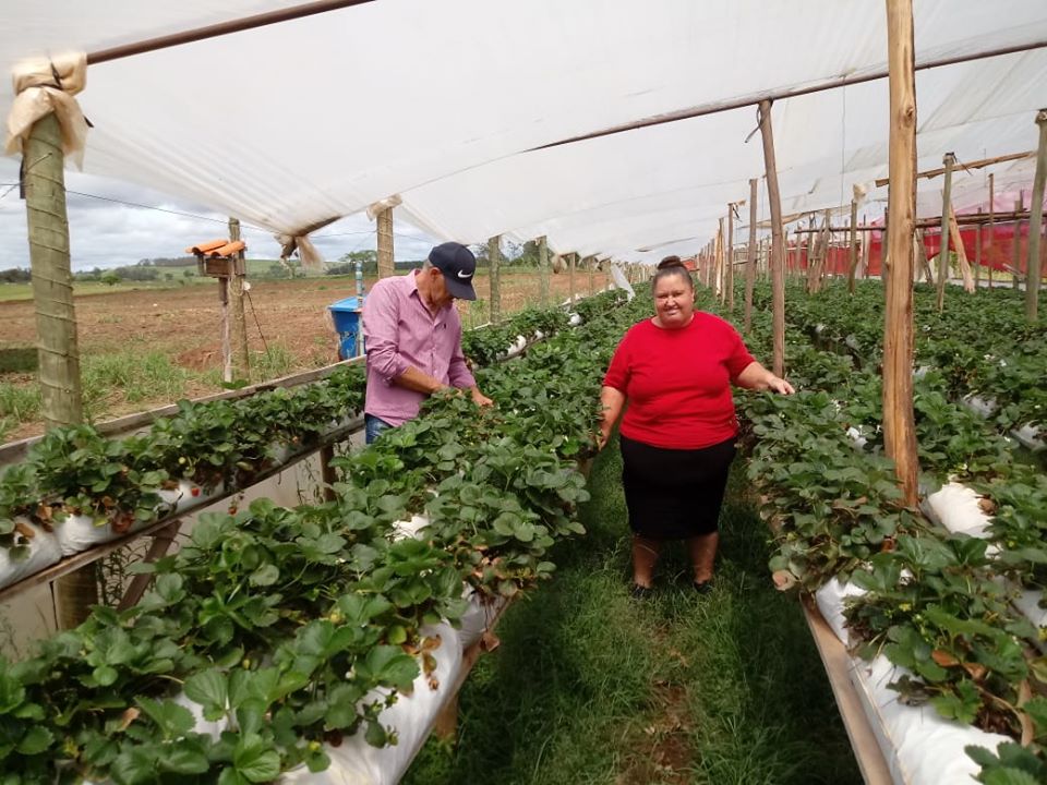 Visita técnica no município de Jaboti