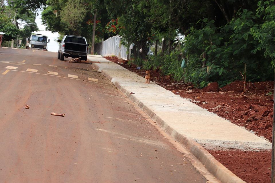 Prefeitura de Jardim Alegre realiza contrução de calçadas na Rua pio XII