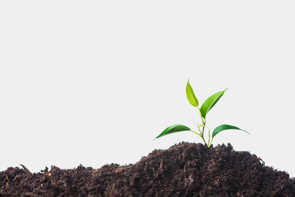 Senhores produtores interessados em obter composto orgânico compareçam á secretaria de agricultur