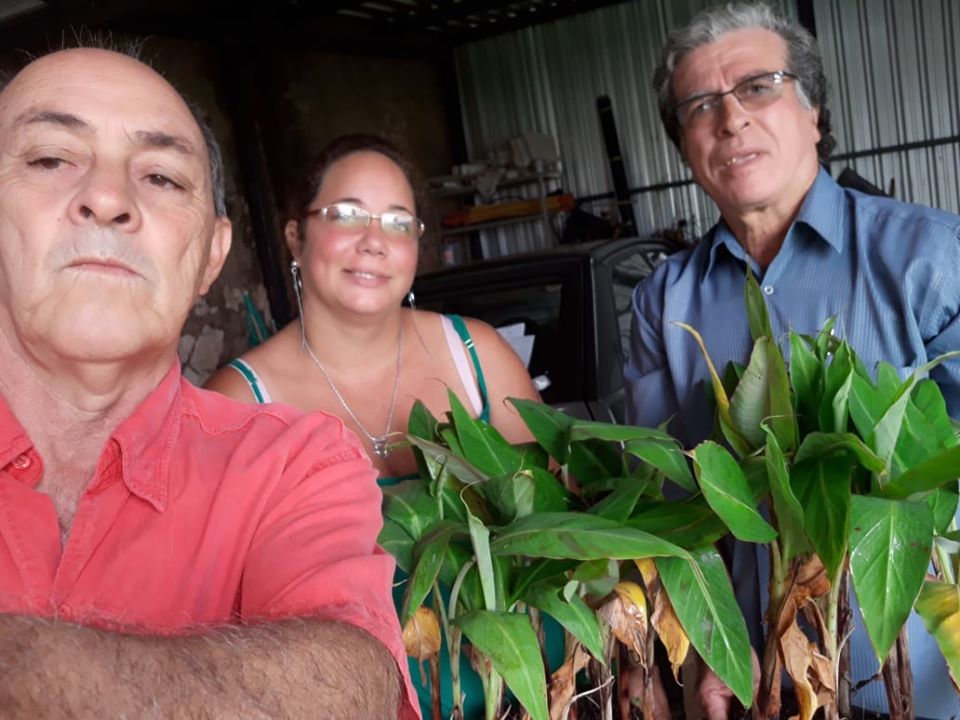 A SECRETARIA DE AGRICULTURA INFORMA!