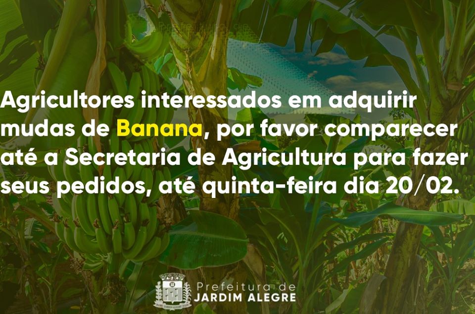 Agricultores interessados em adquirir mudas de Banana comparecer na Secretaria de Agricultura