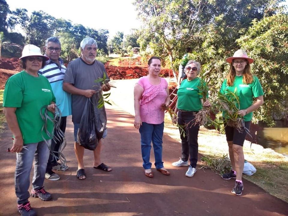 Plantação de orquídeas nas árvores, junto ao lago, em Jardim Alegre