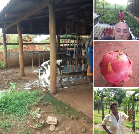 Visita aos Agricultores do Município